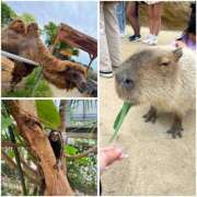 ヒメ日記 2025/05/11 18:09 投稿 ゆりな プリンセスセレクション姫路