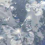 ヒメ日記 2025/01/24 15:26 投稿 もも CoCoaco(ココアコ)大阪本店