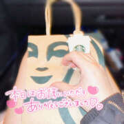 ヒメ日記 2025/01/28 15:06 投稿 もも CoCoaco(ココアコ)大阪本店