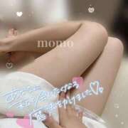 ヒメ日記 2025/04/12 20:52 投稿 もも CoCoaco(ココアコ)大阪本店