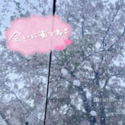 ヒメ日記 2025/04/14 20:30 投稿 もも CoCoaco(ココアコ)大阪本店