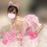 ヒメ日記 2025/06/15 02:26 投稿 もも CoCoaco(ココアコ)大阪本店