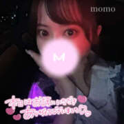 ヒメ日記 2025/07/04 06:40 投稿 もも CoCoaco(ココアコ)大阪本店