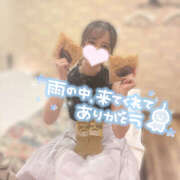 ヒメ日記 2025/10/04 15:50 投稿 もも CoCoaco(ココアコ)大阪本店