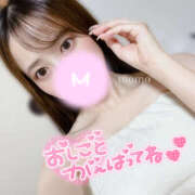 ヒメ日記 2025/10/20 06:34 投稿 もも CoCoaco(ココアコ)大阪本店