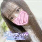 ヒメ日記 2025/12/13 21:03 投稿 もも CoCoaco(ココアコ)大阪本店