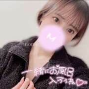 ヒメ日記 2026/01/12 19:10 投稿 もも CoCoaco(ココアコ)大阪本店