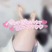 ヒメ日記 2026/01/14 08:32 投稿 もも CoCoaco(ココアコ)大阪本店