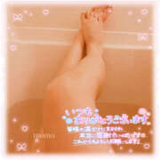 ヒメ日記 2026/01/31 23:42 投稿 もも CoCoaco(ココアコ)大阪本店