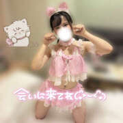 ヒメ日記 2026/02/02 20:52 投稿 もも CoCoaco(ココアコ)大阪本店