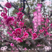 ヒメ日記 2026/02/22 16:47 投稿 もも CoCoaco(ココアコ)大阪本店