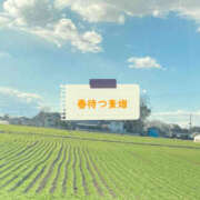 ヒメ日記 2025/02/22 09:28 投稿 彩花 変態プレイ専門店 マニアック女人館 本館