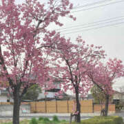 ヒメ日記 2025/03/27 22:42 投稿 彩花 変態プレイ専門店 マニアック女人館 本館