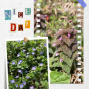 ヒメ日記 2025/04/05 21:51 投稿 彩花 変態プレイ専門店 マニアック女人館 本館