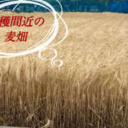 ヒメ日記 2025/05/23 21:48 投稿 彩花 変態プレイ専門店 マニアック女人館 本館