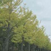 ヒメ日記 2025/10/15 23:58 投稿 彩花 変態プレイ専門店 マニアック女人館 本館