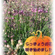 ヒメ日記 2025/10/28 22:32 投稿 彩花 変態プレイ専門店 マニアック女人館 本館