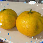 ヒメ日記 2025/10/31 22:50 投稿 彩花 変態プレイ専門店 マニアック女人館 本館