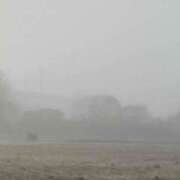 ヒメ日記 2025/11/26 08:13 投稿 彩花 変態プレイ専門店 マニアック女人館 本館