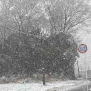 ヒメ日記 2026/03/11 08:26 投稿 彩花 変態プレイ専門店 マニアック女人館 本館