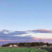 ヒメ日記 2026/04/09 08:29 投稿 彩花 変態プレイ専門店 マニアック女人館 本館