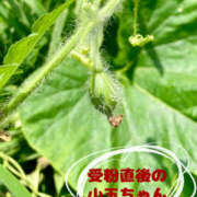 ヒメ日記 2026/08/20 08:23 投稿 彩花 変態プレイ専門店 マニアック女人館 本館