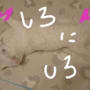 ヒメ日記 2025/06/14 16:53 投稿 すずね 北九州人妻倶楽部（三十路、四十路、五十路）