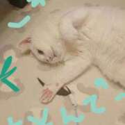 ヒメ日記 2025/07/02 15:18 投稿 すずね 北九州人妻倶楽部（三十路、四十路、五十路）