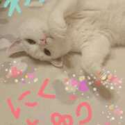 ヒメ日記 2025/09/13 17:57 投稿 すずね 北九州人妻倶楽部（三十路、四十路、五十路）