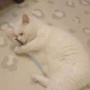 ヒメ日記 2025/11/07 21:30 投稿 すずね 北九州人妻倶楽部（三十路、四十路、五十路）