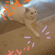 ヒメ日記 2025/11/11 17:11 投稿 すずね 北九州人妻倶楽部（三十路、四十路、五十路）