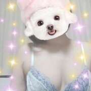 ヒメ日記 2026/04/09 11:50 投稿 すずね 北九州人妻倶楽部（三十路、四十路、五十路）