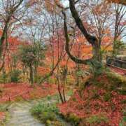 ヒメ日記 2025/12/09 19:23 投稿 ありさ エピセレクション