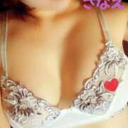 ヒメ日記 2025/12/16 23:56 投稿 早苗 三浦屋別館