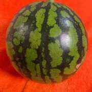 ヒメ日記 2025/10/28 20:26 投稿 もも 三浦屋別館