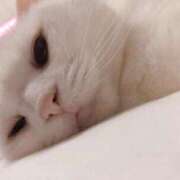 ヒメ日記 2025/02/13 00:20 投稿 りあ【エッチで綺麗なお姉さん】 LIPS(リップス)