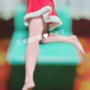 ヒメ日記 2025/12/14 10:56 投稿 かおり 三浦屋別館