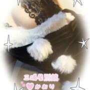 かおり おはようございます 三浦屋別館