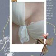 ヒメ日記 2026/02/11 09:09 投稿 かおり 三浦屋別館