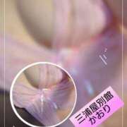 かおり おはようございます 三浦屋別館