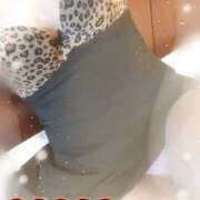 ヒメ日記 2026/02/19 09:26 投稿 かおり 三浦屋別館