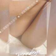 ヒメ日記 2026/03/08 08:46 投稿 かおり 三浦屋別館