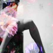 ヒメ日記 2025/11/05 13:36 投稿 志麻 三浦屋別館