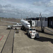 ヒメ日記 2025/07/17 09:32 投稿 もなか ハピネス福岡