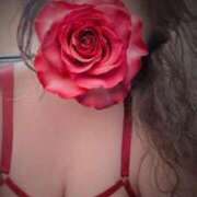 ヒメ日記 2025/10/20 12:56 投稿 優美 三浦屋別館