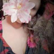 ヒメ日記 2025/11/01 12:56 投稿 優美 三浦屋別館