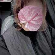 ヒメ日記 2025/11/02 14:16 投稿 優美 三浦屋別館