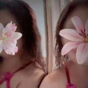 ヒメ日記 2025/11/21 23:26 投稿 優美 三浦屋別館