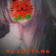 ヒメ日記 2025/11/24 06:56 投稿 優美 三浦屋別館