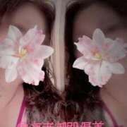 ヒメ日記 2025/11/25 14:16 投稿 優美 三浦屋別館